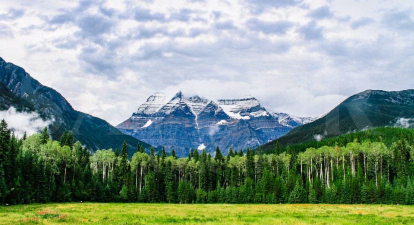 Where to Propose in Latvia: 9 Best Places & Itinerary