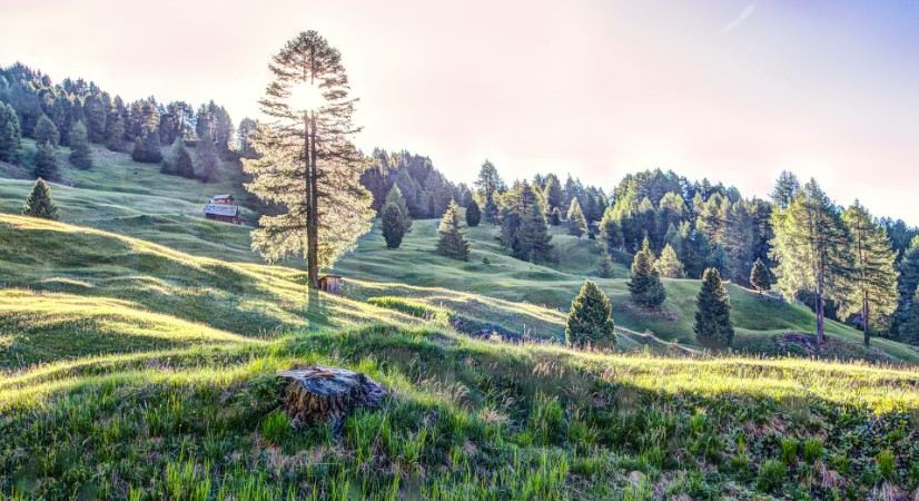 Where to Propose in Slovakia: 9 Best Places & Itinerary